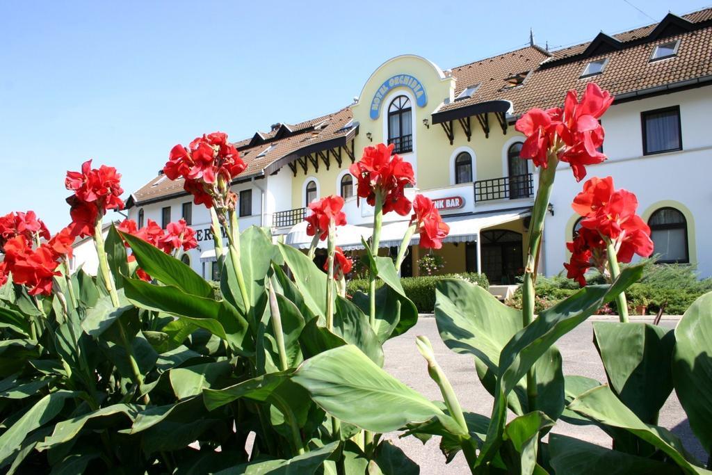 Hotel Orchidea Balastya Exterior photo