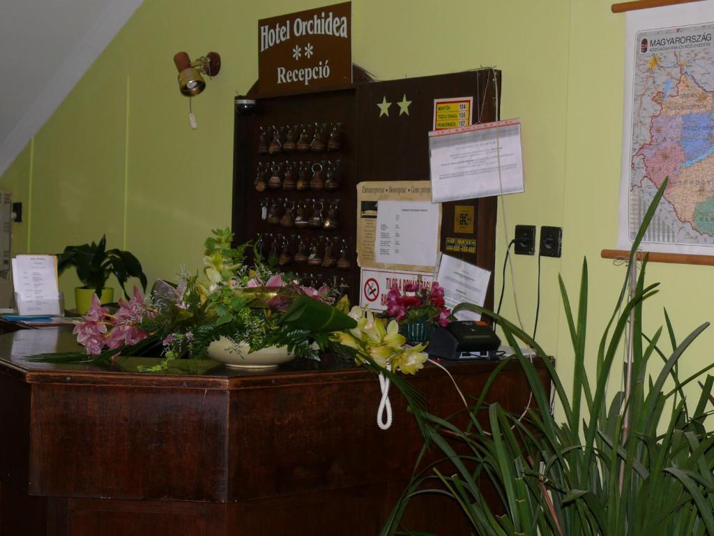 Hotel Orchidea Balastya Exterior photo